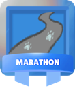 万里长征 Marathon